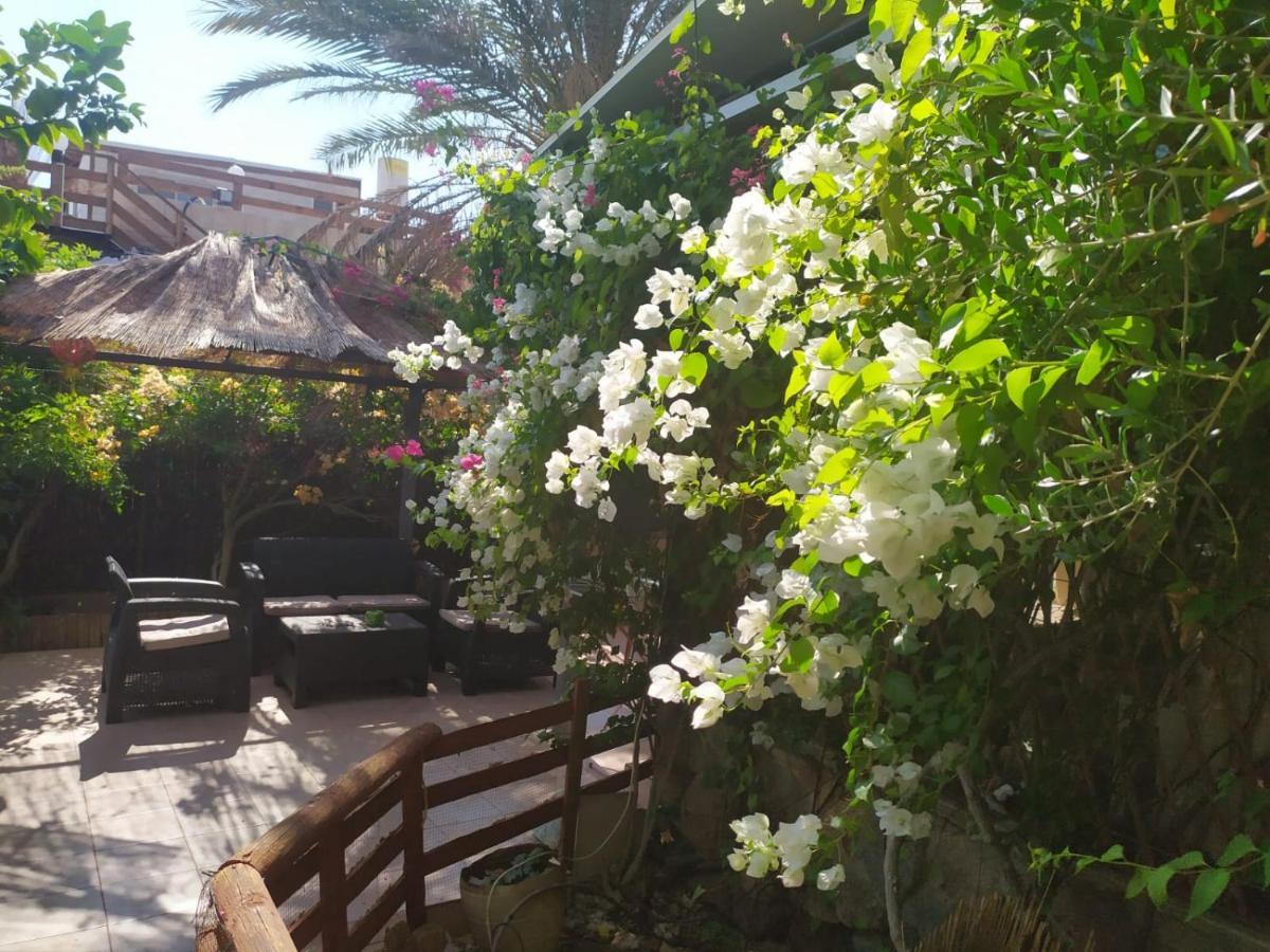Lotus Turtle Garden Eilat Leilighet Eksteriør bilde