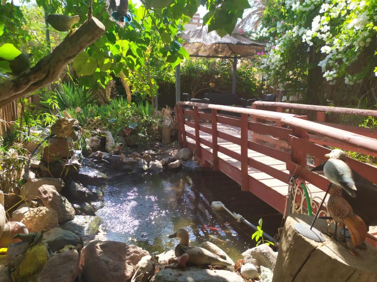 Lotus Turtle Garden Eilat Leilighet Eksteriør bilde
