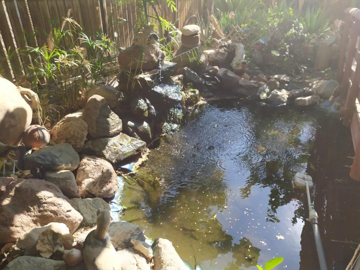 Lotus Turtle Garden Eilat Leilighet Eksteriør bilde